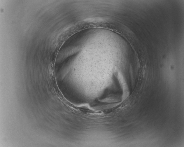 X0000051860966200507081818