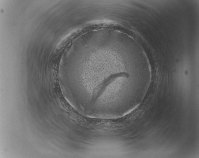 X0000051860967200507081818