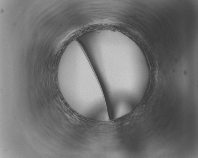 X0000051860968200507081818