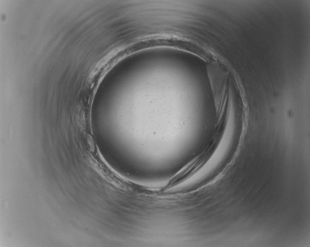 X0000051860969200507081818