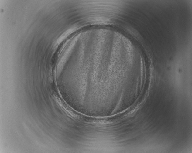 X0000051860970200507081818