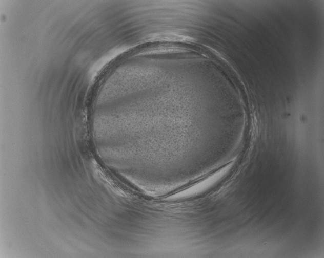 X0000051860971200507081818