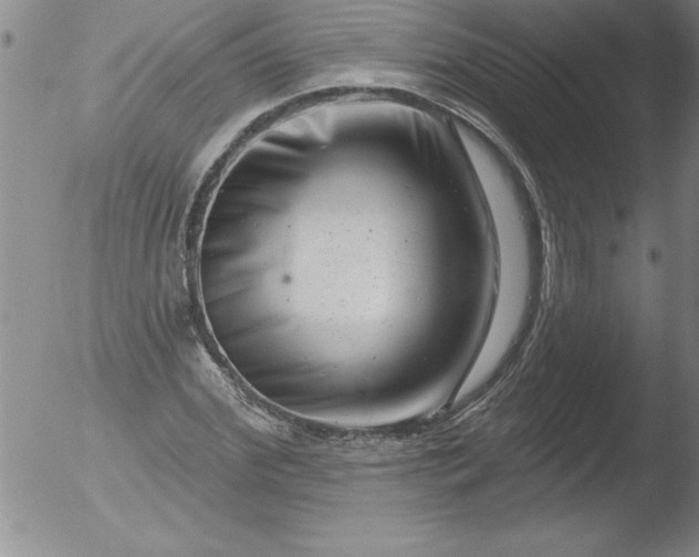 X0000051860972200507081818