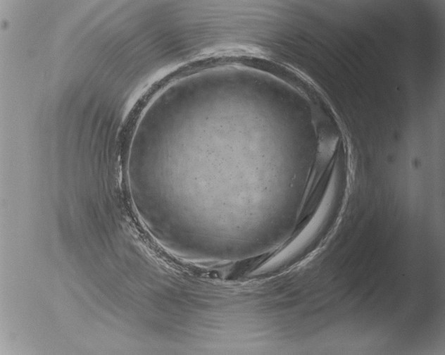 X0000051860973200507081818