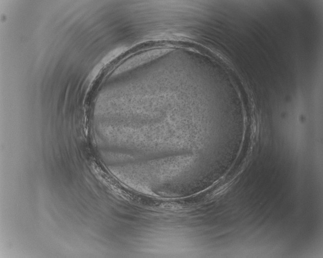 X0000051860974200507081818