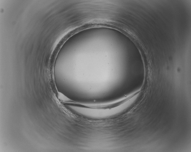 X0000051860976200507081818