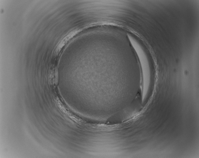 X0000051860977200507081818