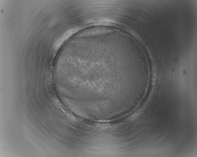 X0000051860978200507081818