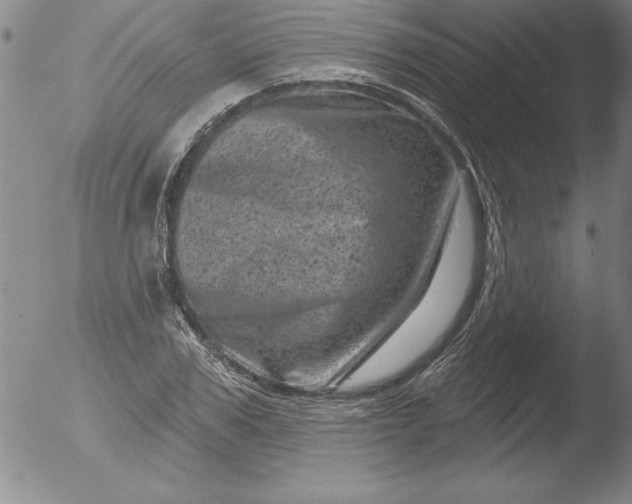 X0000051860979200507081818