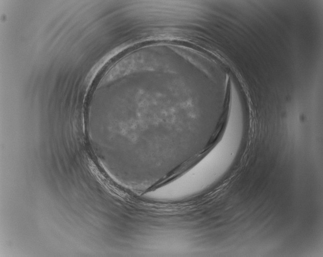 X0000051860980200507081818