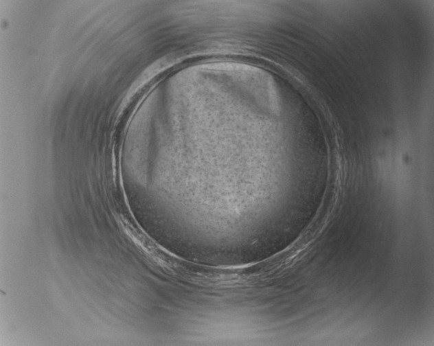 X0000051860982200507081818