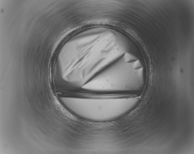 X0000051860984200507081818