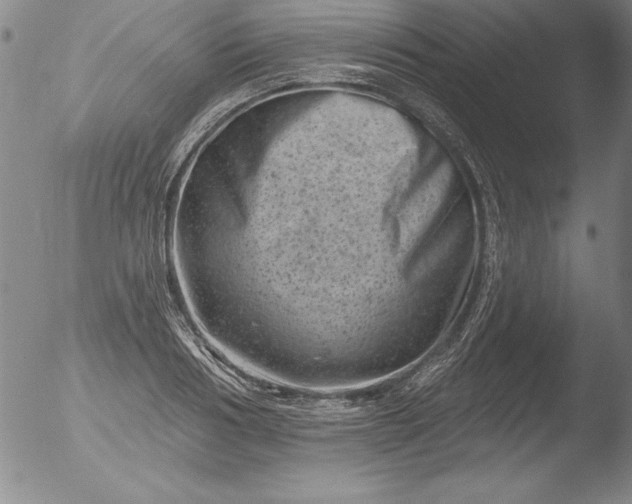 X0000051860986200507081818