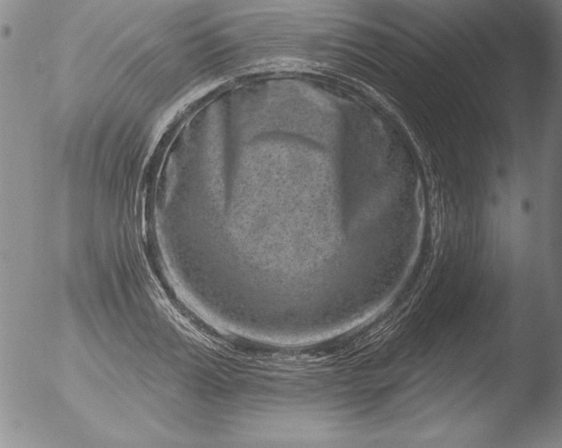 X0000051860987200507081818