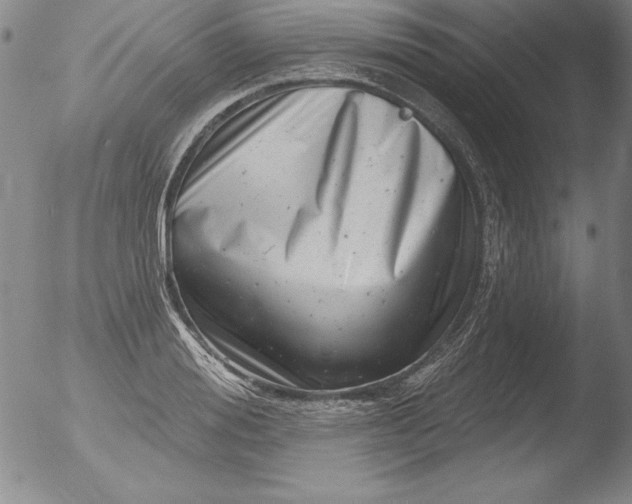 X0000051860988200507081818