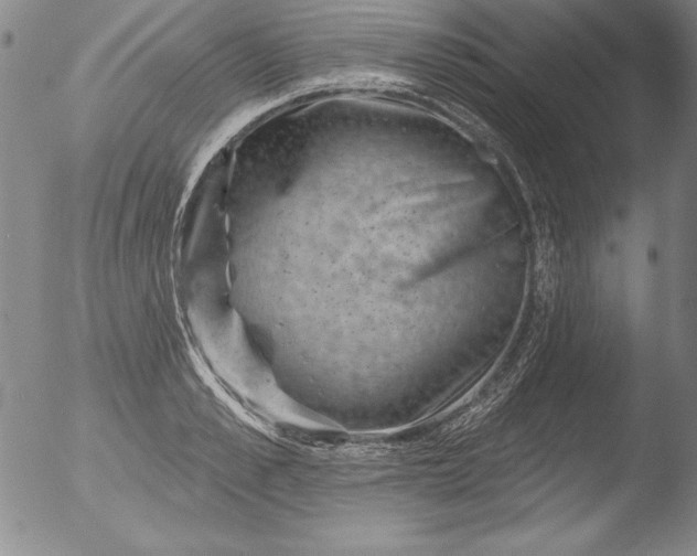 X0000051860989200507081818