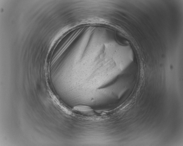 X0000051860990200507081818