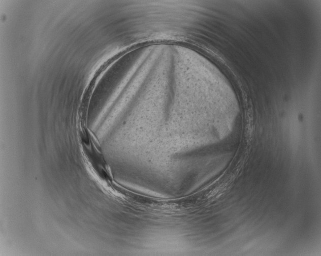 X0000051860991200507081818