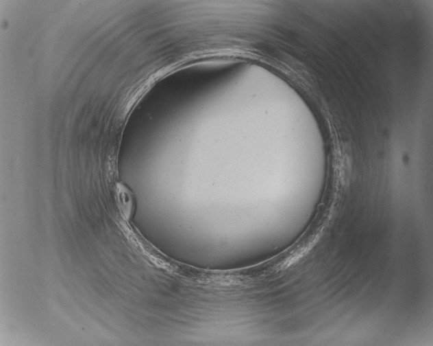 X0000051860993200507081818