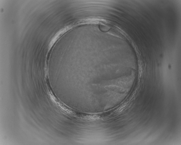 X0000051860994200507081818