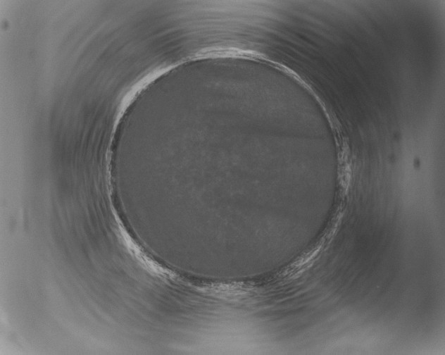 X0000051860995200507081818