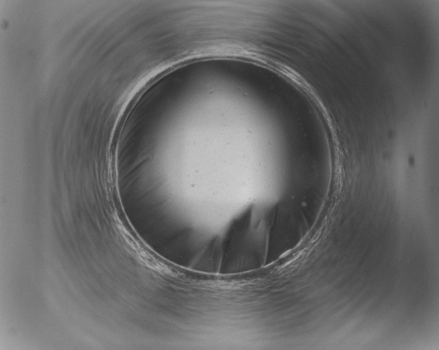 X0000051860996200507081818