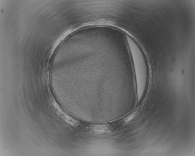 X0000051860998200507081818