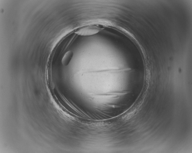 X0000051860999200507081818