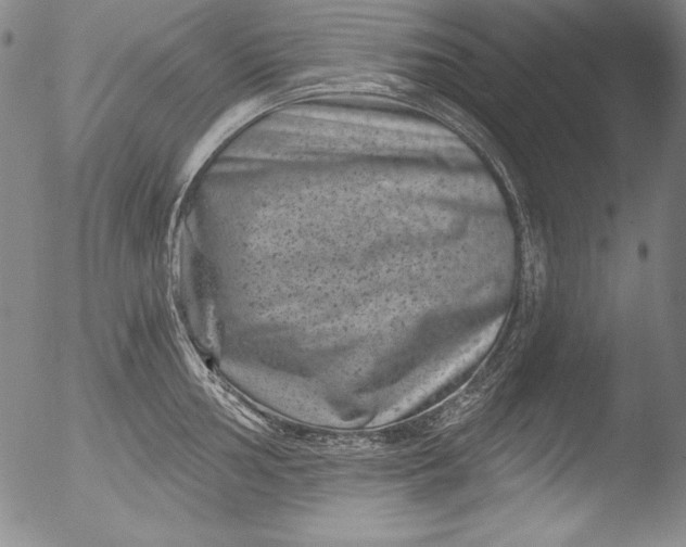 X0000051861002200507081818