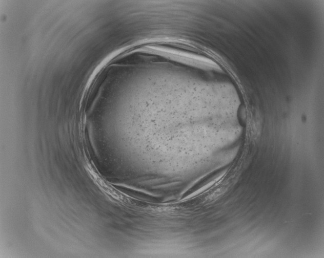 X0000051861004200507081818