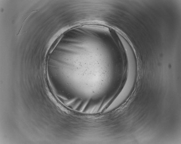 X0000051861005200507081818