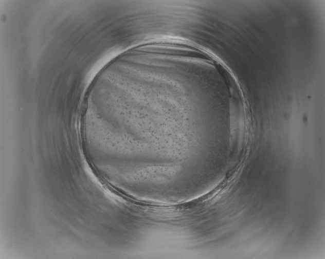 X0000051861007200507081818