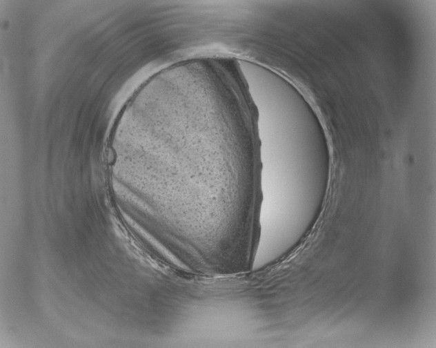 X0000051861008200507081818