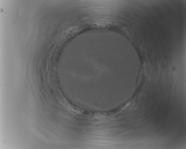 X0000051861009200507081817