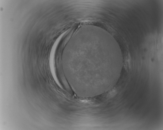 X0000051861010200507081817