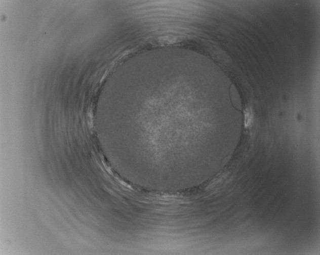 X0000051861011200507081817