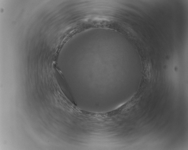 X0000051861013200507081817