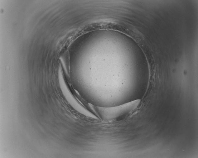 X0000051861014200507081817