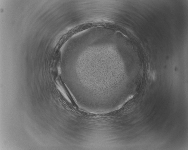 X0000051861016200507081817