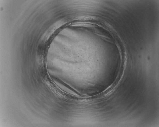 X0000051861017200507081817