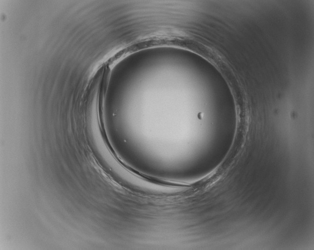 X0000051861018200507081817