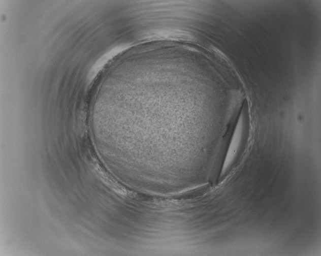 X0000051861019200507081817