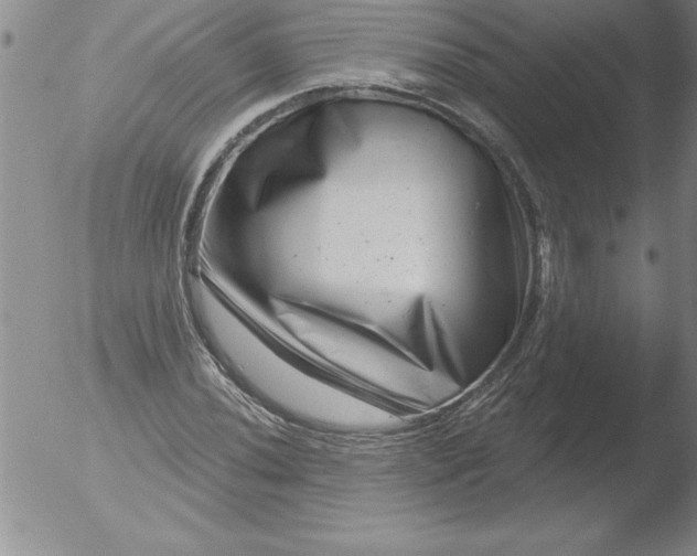 X0000051861020200507081817