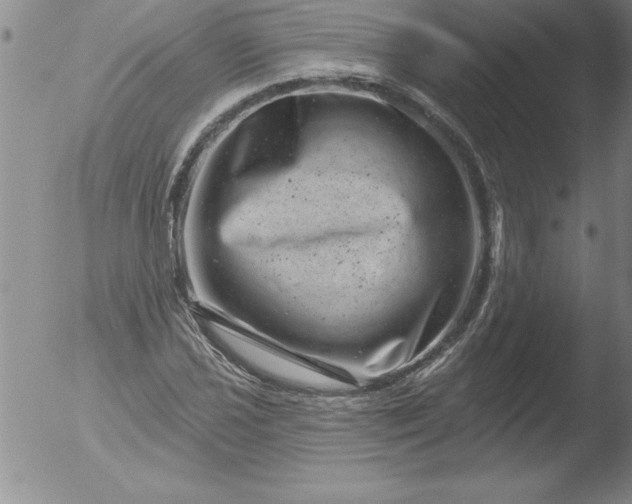 X0000051861021200507081817