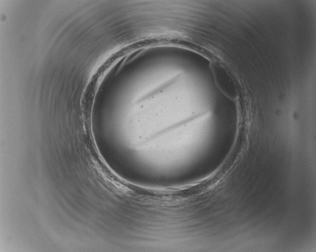 X0000051861022200507081817