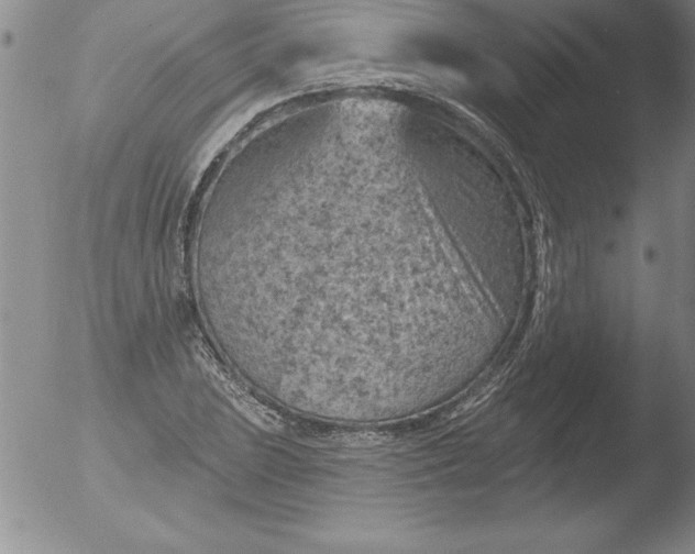 X0000051861023200507081817