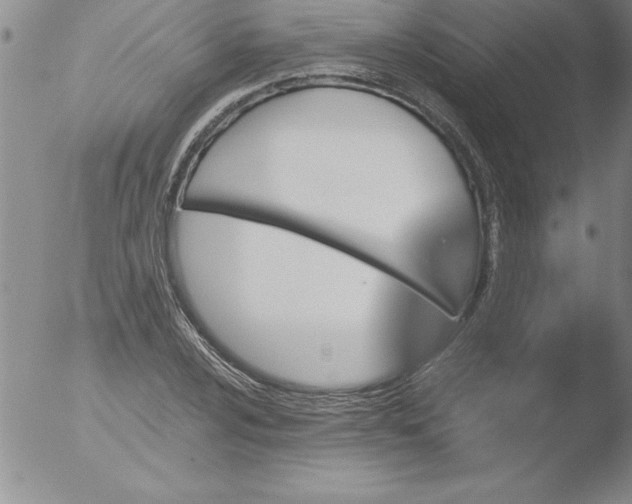 X0000051861024200507081817