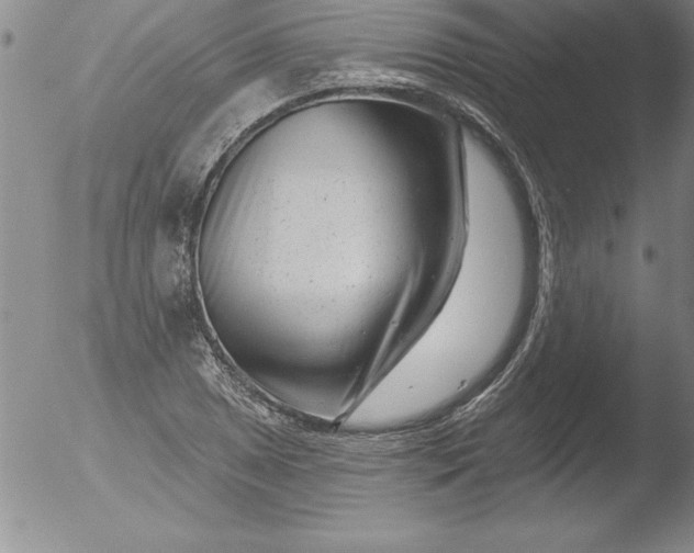 X0000051861025200507081817