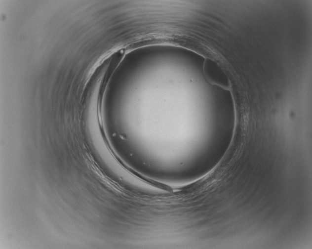 X0000051861026200507081817