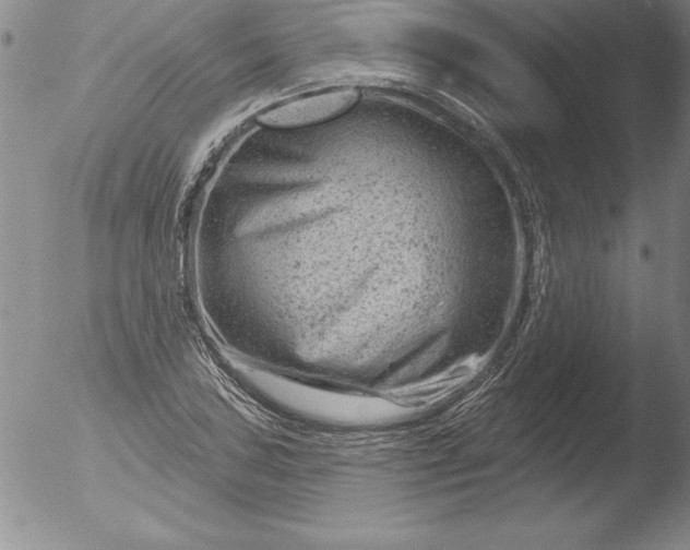 X0000051861027200507081817